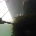 DCIM100GOPRO